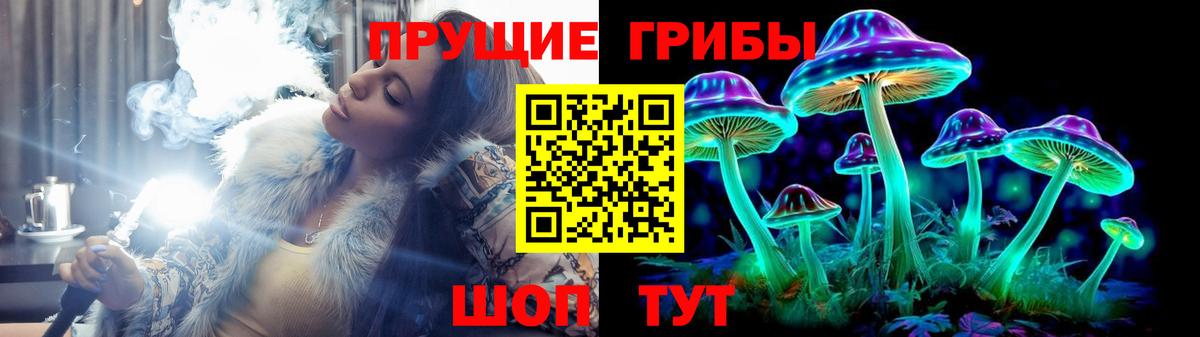 Псилоцибиновые грибы прущие грибы Отрадный